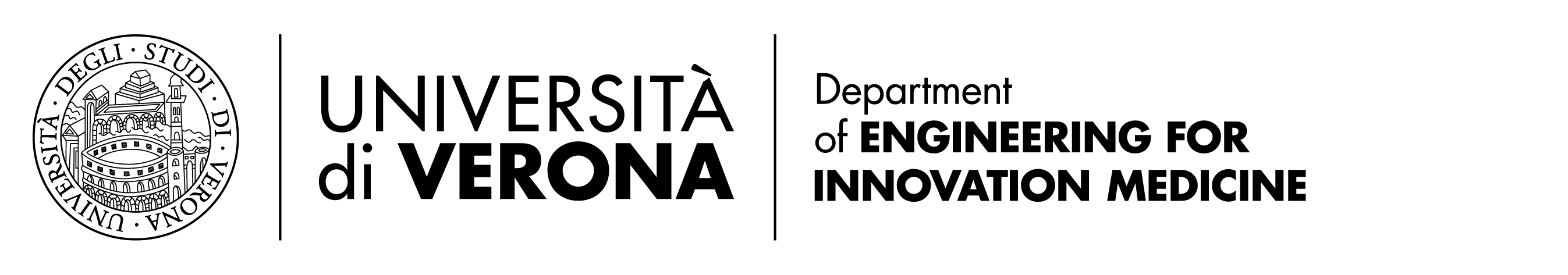 Logo DIMI Univr